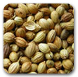coriander-seeds